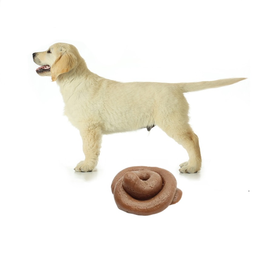 Fake Poop Gag Gift - Mainan Squishy Kotoran Lucu - Bola