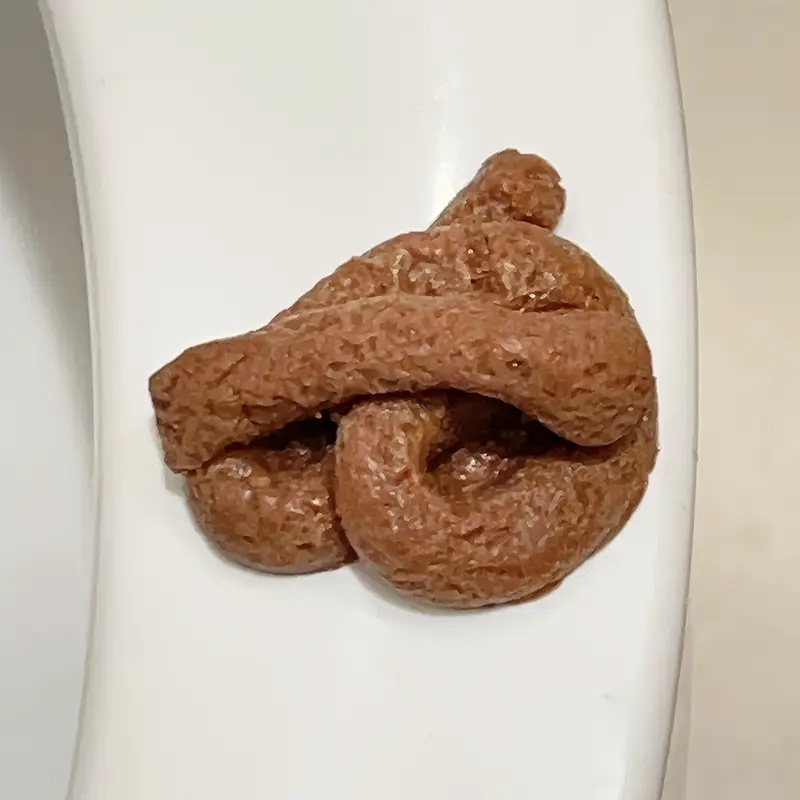 Mainan Lelucon Kotoran Palsu y - Fake Poop Gag Gift ulasan dan harga