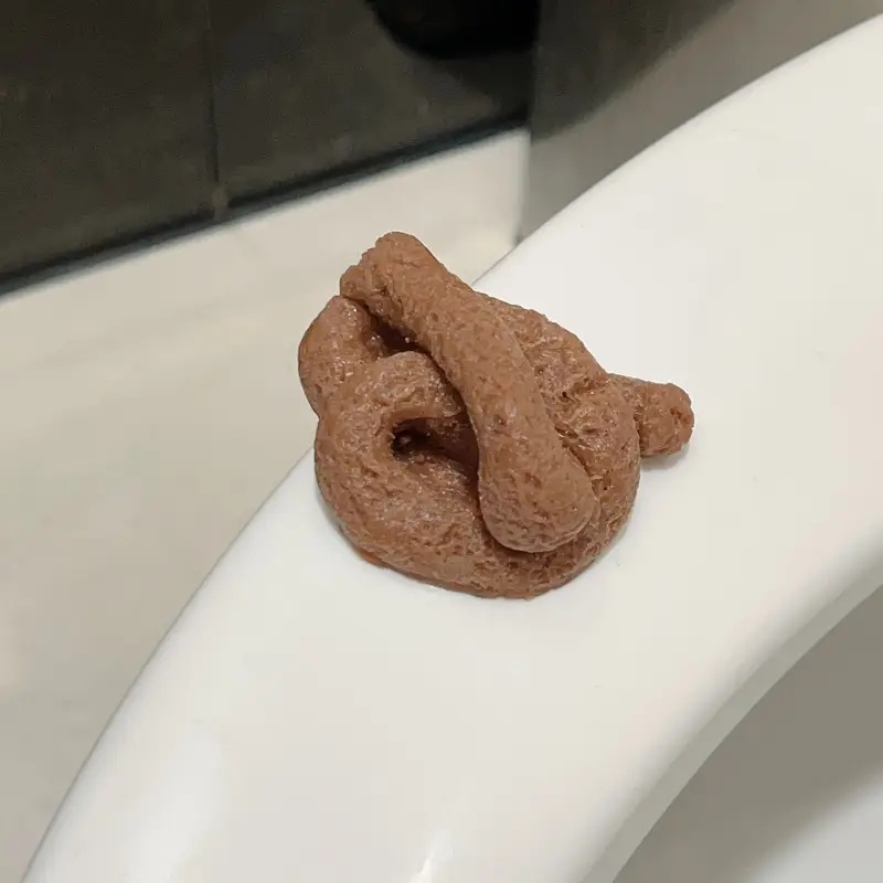 Mainan Lelucon Kotoran Palsu y - Fake Poop Gag Gift ulasan dan harga